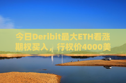 今日Deribit最大ETH看涨期权买入，行权价4000美元