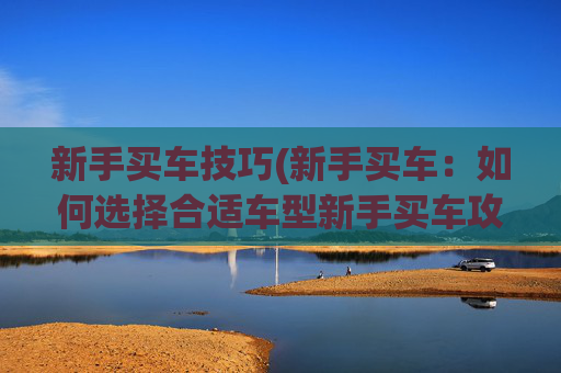新手买车技巧(新手买车:如何选择合适车型新手买车攻略)