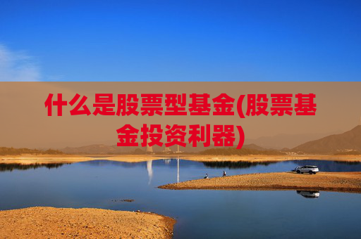 什么是股票型基金(股票基金投资利器)