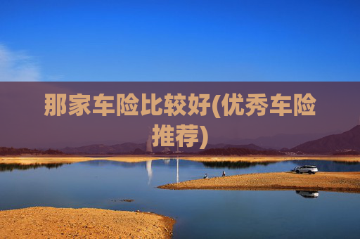 那家车险比较好(优秀车险推荐)