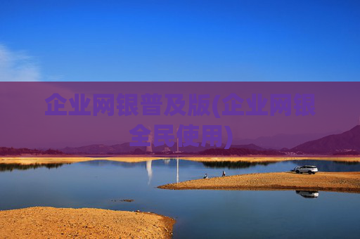企业网银普及版(企业网银全民使用)