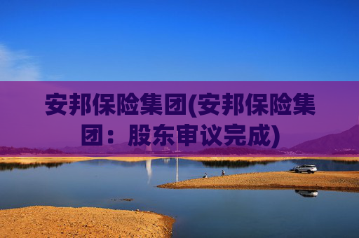安邦保险集团(安邦保险集团:股东审议完成)