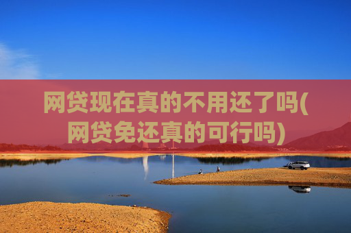 网贷现在真的不用还了吗(网贷免还真的可行吗)