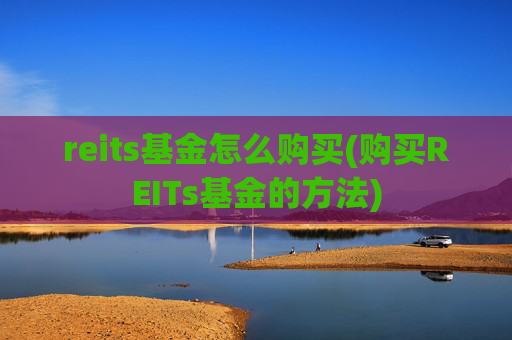 reits基金怎么购买(购买REITs基金的方法)