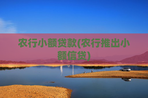 农行小额贷款(农行推出小额信贷)