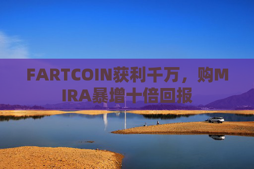 FARTCOIN获利千万，购MIRA暴增十倍回报