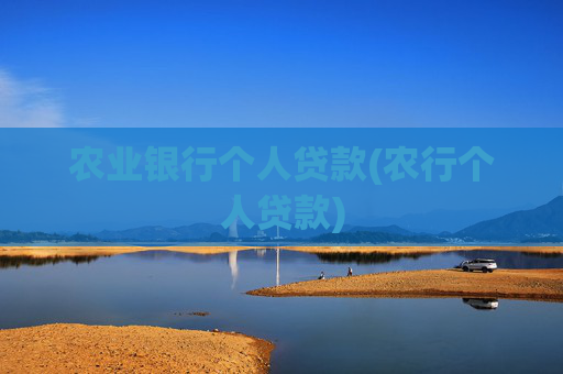农业银行个人贷款(农行个人贷款)