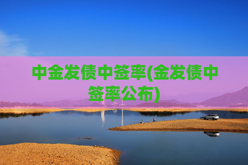 中金发债中签率(金发债中签率公布)
