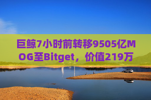 巨鲸7小时前转移9505亿MOG至Bitget，价值219万美元