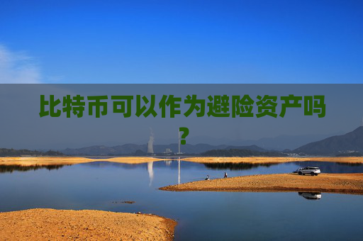 比特币可以作为避险资产吗？