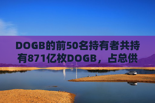 DOGB的前50名持有者共持有871亿枚DOGB，占总供应量的63.71%