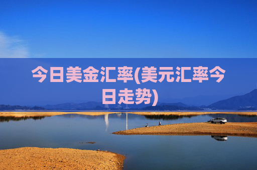 今日美金汇率(美元汇率今日走势)