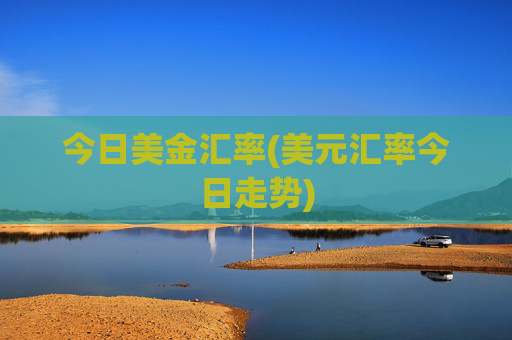 今日美金汇率(美元汇率今日走势)
