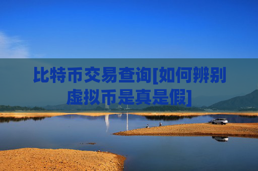 比特币交易查询[如何辨别虚拟币是真是假]
