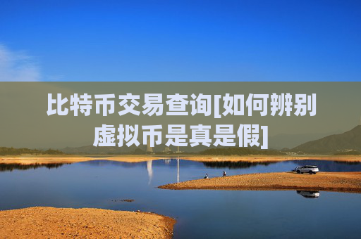 比特币交易查询[如何辨别虚拟币是真是假]