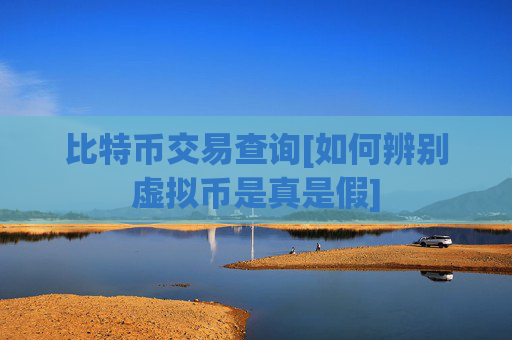 比特币交易查询[如何辨别虚拟币是真是假]