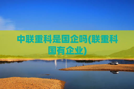 中联重科是国企吗(联重科国有企业)