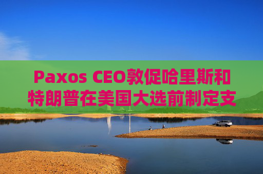 Paxos CEO敦促哈里斯和特朗普在美国大选前制定支持加密货币的法规