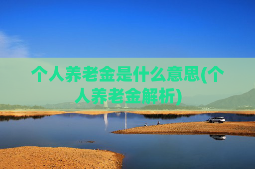 个人养老金是什么意思(个人养老金解析)