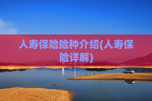 人寿保险险种介绍(人寿保险详解)