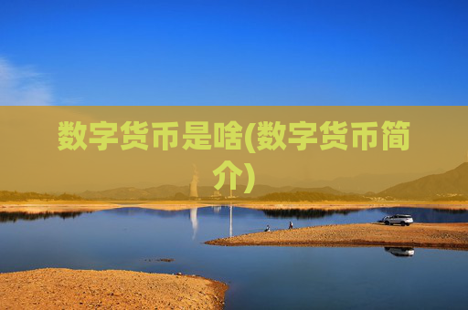 数字货币是啥(数字货币简介)