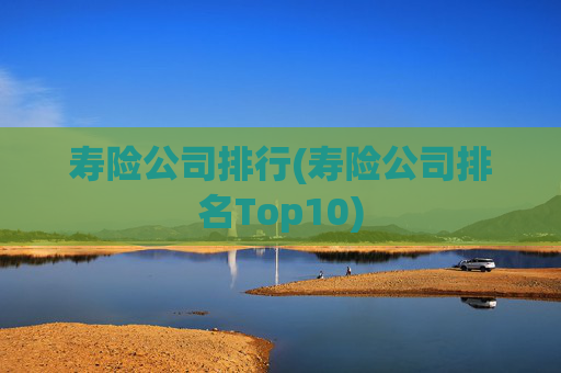 寿险公司排行(寿险公司排名Top10)