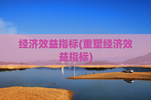 经济效益指标(重塑经济效益指标)