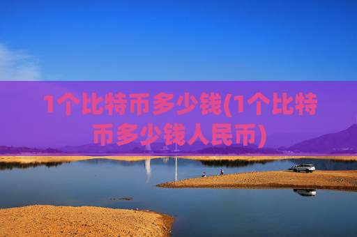 1个比特币多少钱(1个比特币多少钱人民币)