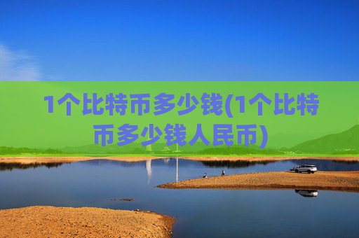 1个比特币多少钱(1个比特币多少钱人民币)