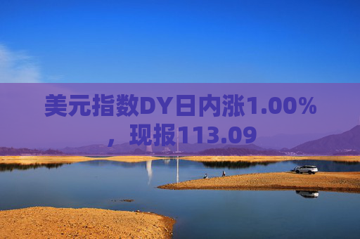 美元指数DY日内涨1.00%，现报113.09