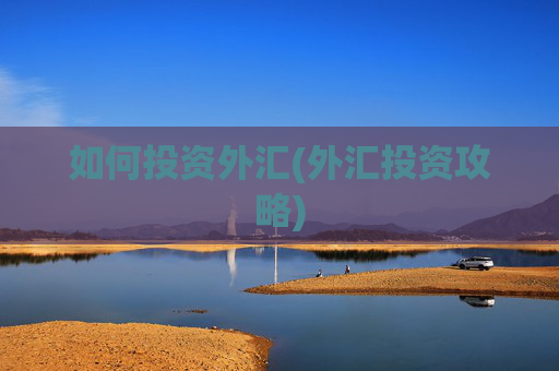 如何投资外汇(外汇投资攻略)