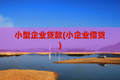 小型企业贷款(小企业借贷)