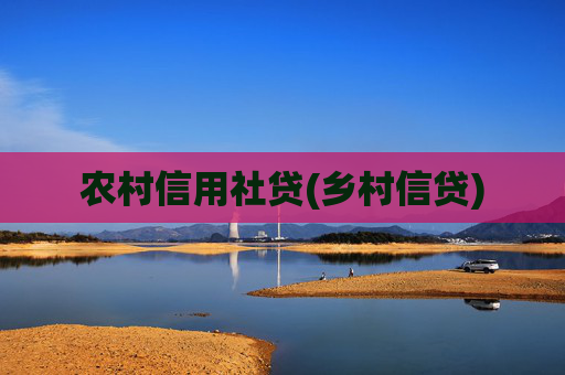 农村信用社贷(乡村信贷)