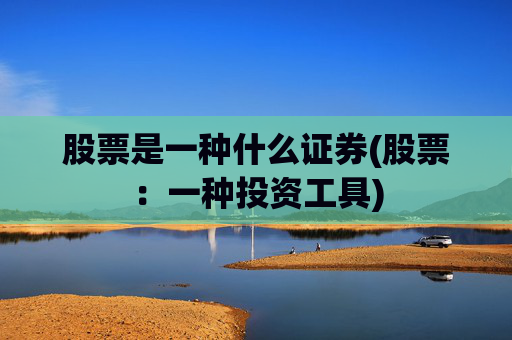 股票是一种什么证券(股票：一种投资工具)