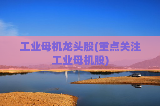 工业母机龙头股(重点关注工业母机股)