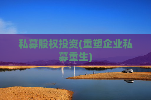 私募股权投资(重塑企业私募重生)