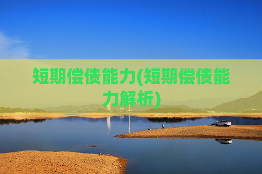 短期偿债能力(短期偿债能力解析)