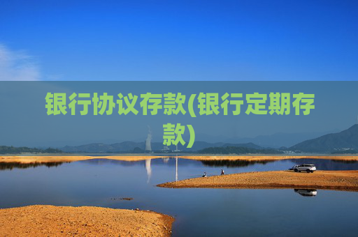 银行协议存款(银行定期存款)