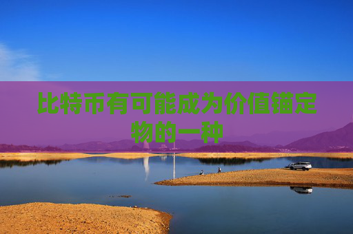 比特币有可能成为价值锚定物的一种