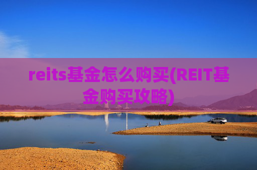 reits基金怎么购买(REIT基金购买攻略)