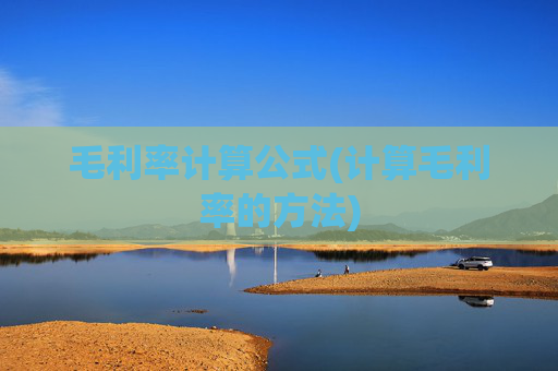 毛利率计算公式(计算毛利率的方法)