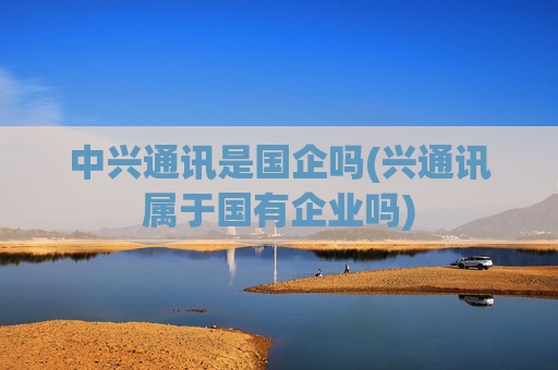 中兴通讯是国企吗(兴通讯属于国有企业吗)