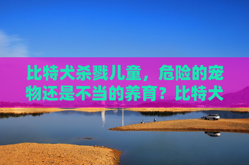 比特犬杀戮儿童，危险的宠物还是不当的养育？比特犬杀戮儿
