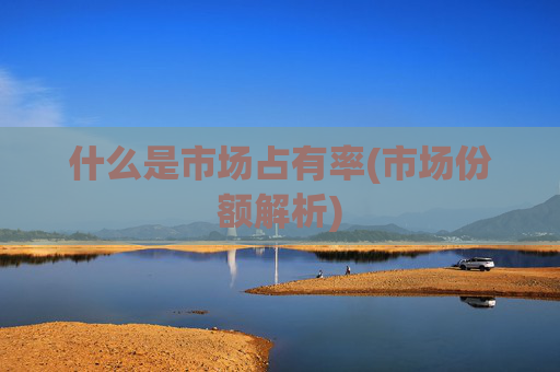 什么是市场占有率(市场份额解析)