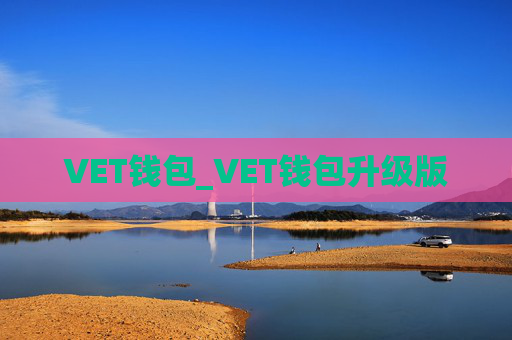 VET钱包_VET钱包升级版