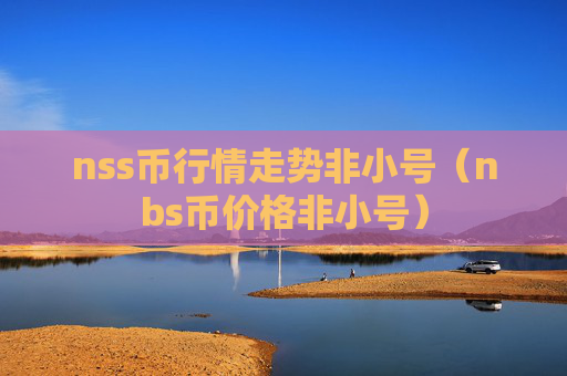 nss币行情走势非小号(nbs币价格非小号)