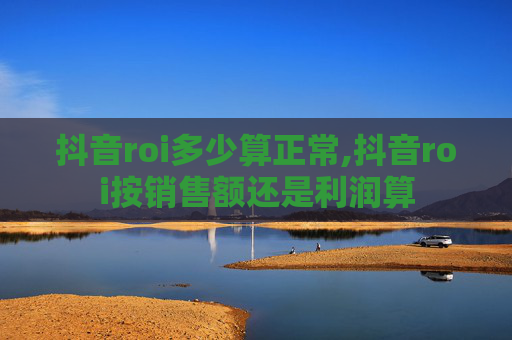 抖音roi多少算正常,抖音roi按销售额还是利润算