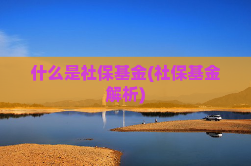 什么是社保基金(社保基金解析)