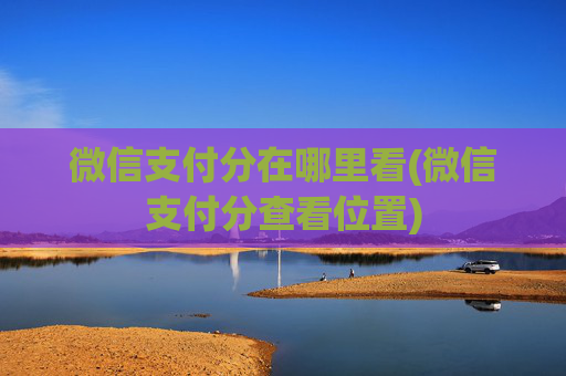 微信支付分在哪里看(微信支付分查看位置)