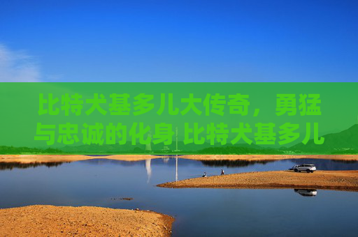 比特犬基多儿大传奇，勇猛与忠诚的化身 比特犬基多儿大传奇